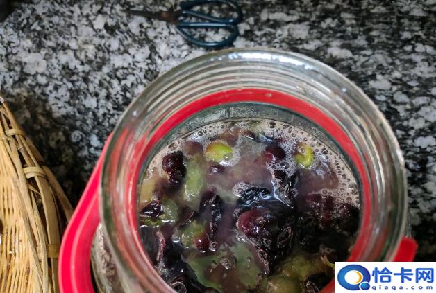 酿葡萄酒多久放一次气,葡萄酒在发酵的过程中还需要放气吗