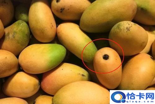 小台芒怎么保存不发黑,小台芒怎样保存时间长