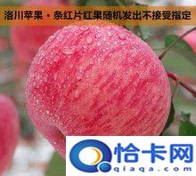 洛川苹果产地在哪里，洛川苹果是哪里？