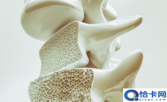 骨质疏松的认知误区你中了没 骨质疏松的饮食保健