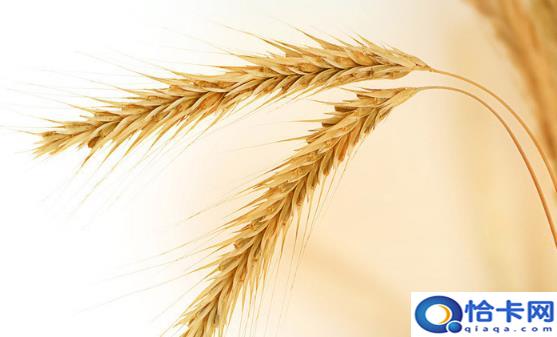 别嫌全麦粉黑黑点更健康 美味低糖全麦粉双色馒头做法