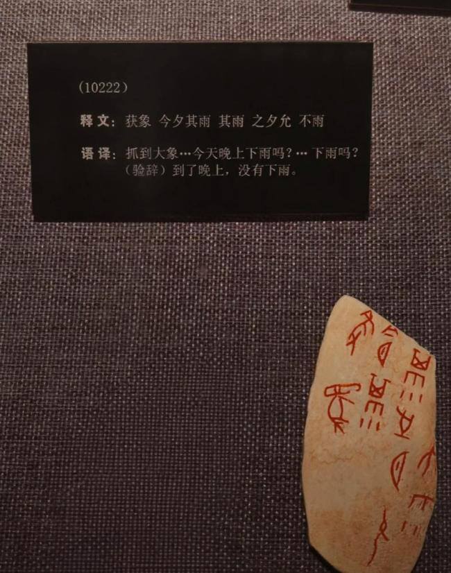 甲骨文天气预报被打脸 祖宗级吐槽 古代版降水概率乌龙