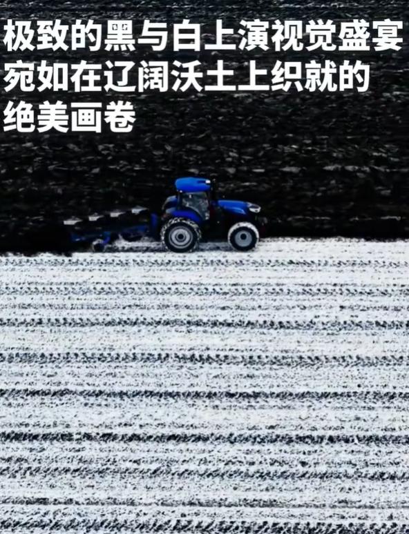 北大荒初雪绘就“黑白画映” 银装素裹现水墨丹青