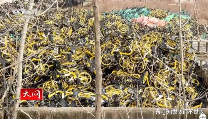 万辆共享单车神秘“消失”!警方破获千万窃案?盗贼因效率太高反欠债