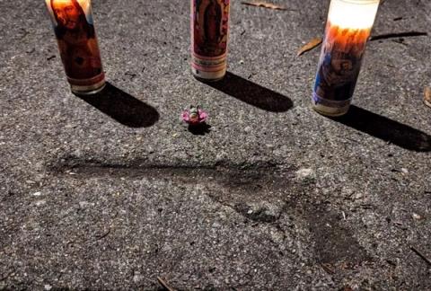 水泥地惊现“老鼠坑” 美国这条路火了！新研究带来反转：坑是松鼠砸的(图9)