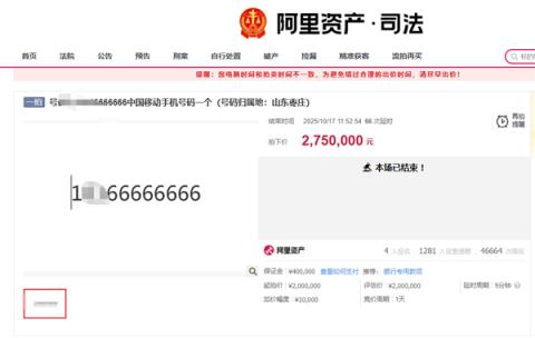 尾号66666666手机号275万成交：4人报名67次出价 超过起拍价75万(图1)