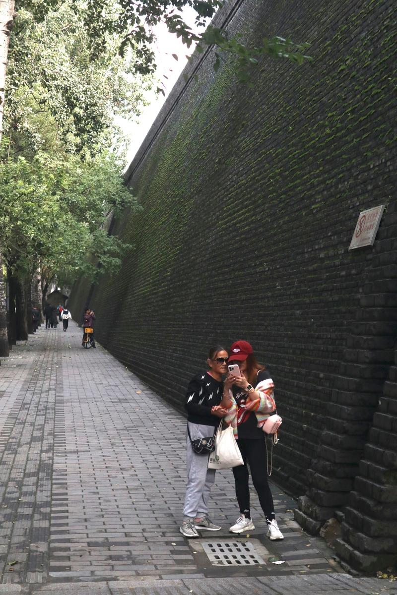西安古城墙变身“巨型生态缸”:千年古迹与现代生态的完美融合