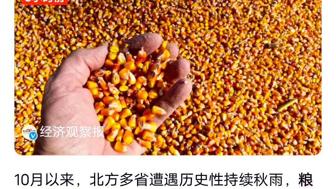 粮食烘干机卖空了?网友:赏饭与保命一场秋雨的启示