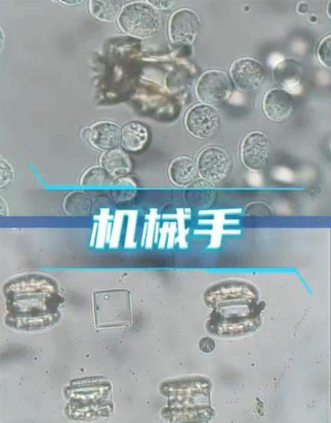 科幻成真！中国科学家造出纳米医生：不用挨针 直接吞下治病(图1)