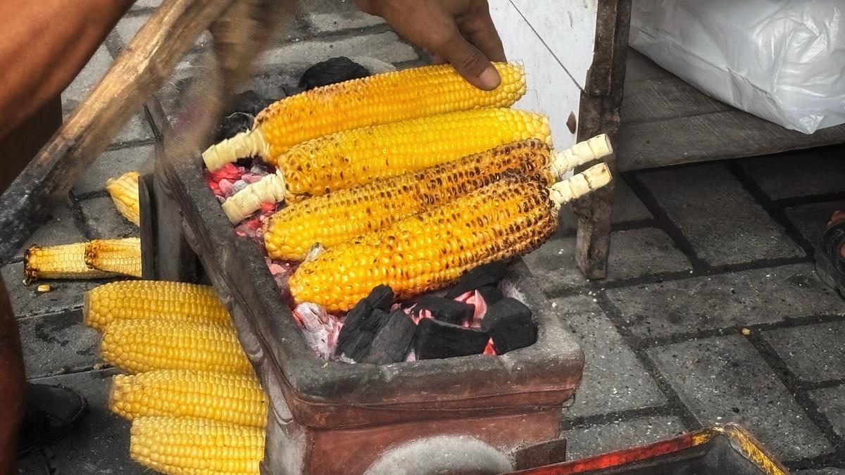 烤肉店用玉米做燃料引争议:环保创新还是粮食浪费?