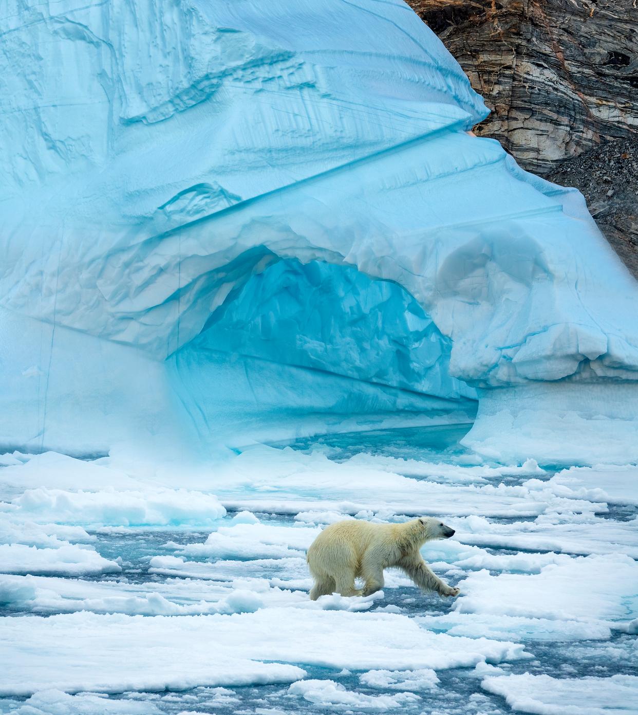 北极永久冻土解冻:沉睡4万年的远古生物正在苏醒