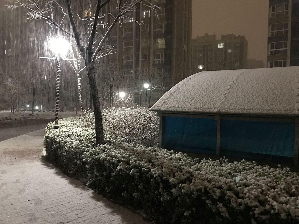 北京寒冬纪事:当城市被寒冷按下暂停键