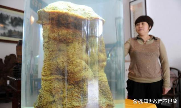 八十元的“神仙水”:老人沉迷直播间?买来的太岁竟是化学垃圾!