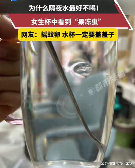 隔夜水杯里的“果冻虫”?是摇蚊给你加的料!
