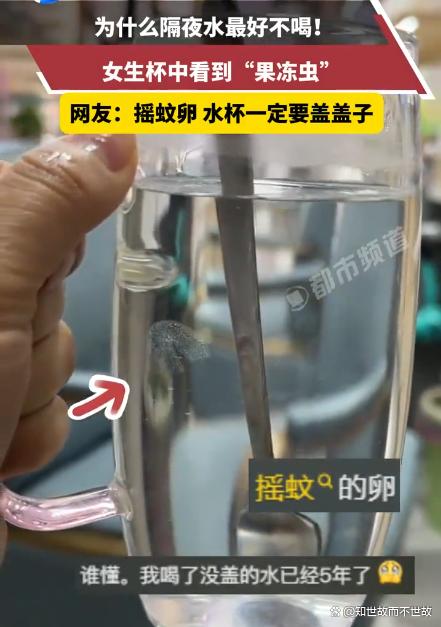 隔夜水杯里的“果冻虫”?是摇蚊给你加的料!