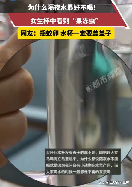隔夜水杯里的“果冻虫”?是摇蚊给你加的料!