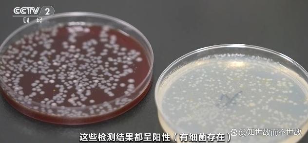 隔夜水杯里的“果冻虫”?是摇蚊给你加的料!
