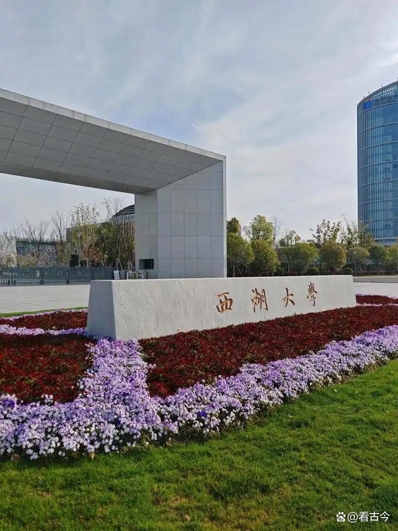 西湖大学获2个世界首次重要突破?人工离子通道玩转神经调控花样