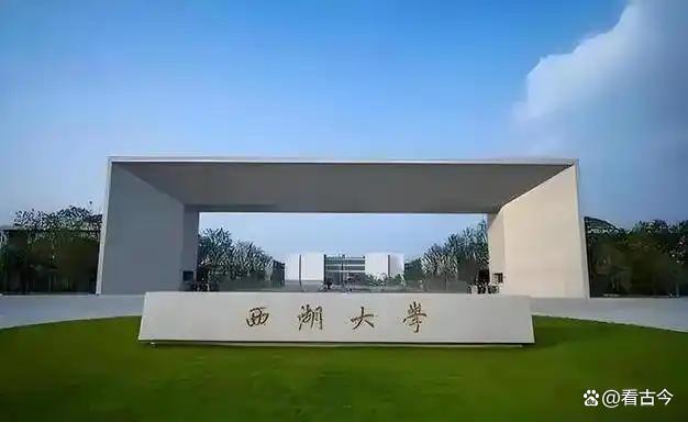 西湖大学获2个世界首次重要突破?人工离子通道玩转神经调控花样