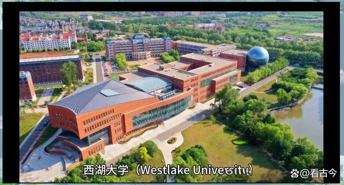 西湖大学获2个世界首次重要突破?人工离子通道玩转神经调控花样