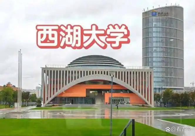 西湖大学获2个世界首次重要突破?人工离子通道玩转神经调控花样