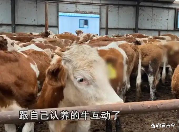 免费火锅背后有大坑!600多名老人被骗走4200万