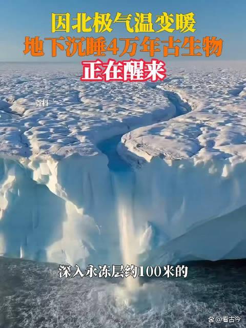 全球变暖玩出“新副本”?北极4万年古生物正在苏醒