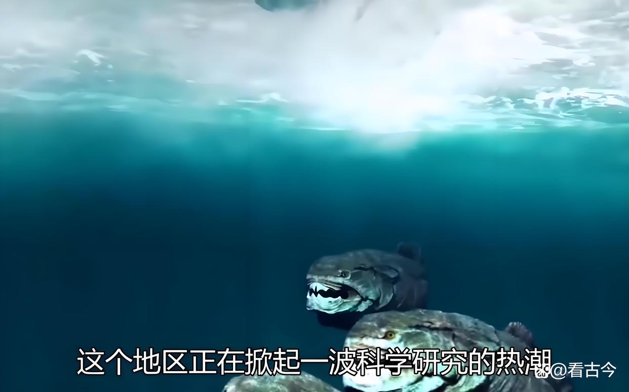 全球变暖玩出“新副本”?北极4万年古生物正在苏醒