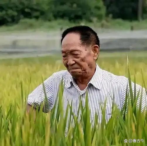 67岁“面筋爷爷”酷似袁隆平走红?他的善良朴实承载了这份情感
