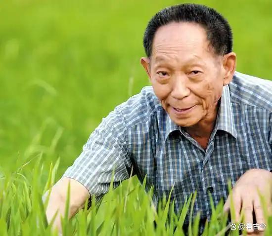 67岁“面筋爷爷”酷似袁隆平走红?他的善良朴实承载了这份情感