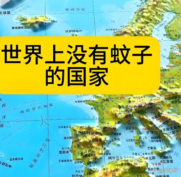 冰岛首次发现蚊子!三只蚊子如何颠覆一个国家的生态骄傲?