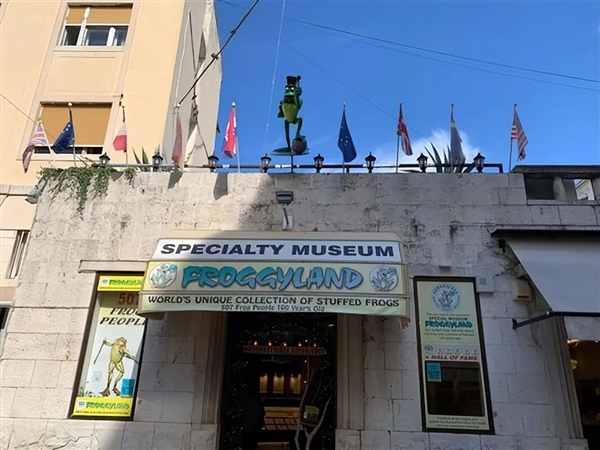 欧洲最怪博物馆:507只青蛙标本摆出人类姿势