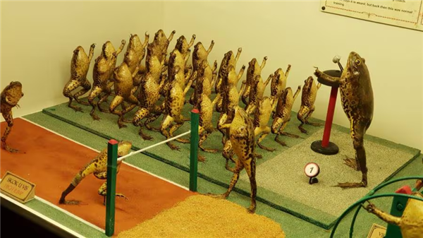 欧洲最怪博物馆:507只青蛙标本摆出人类姿势