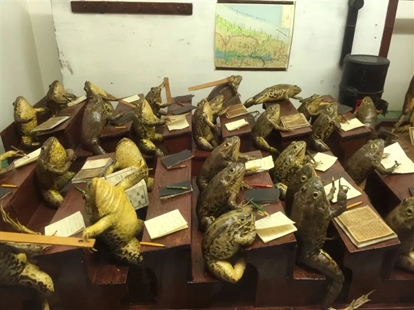 欧洲最怪博物馆:507只青蛙标本摆出人类姿势