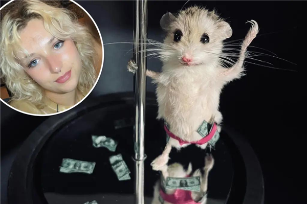 欧洲最怪博物馆:507只青蛙标本摆出人类姿势