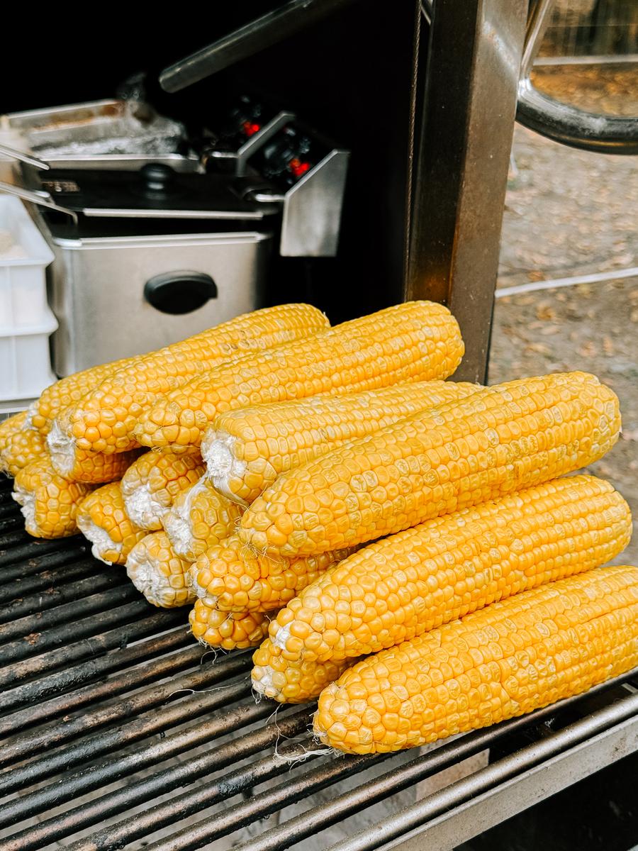 烤肉店用玉米粒当燃料引争议 农业专家:粮食利用需守住底线