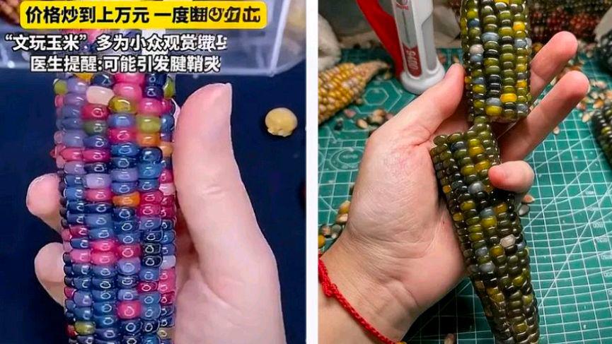 文玩玉米需求暴涨价格炒到上万元?网友:这是什么风医生还提醒