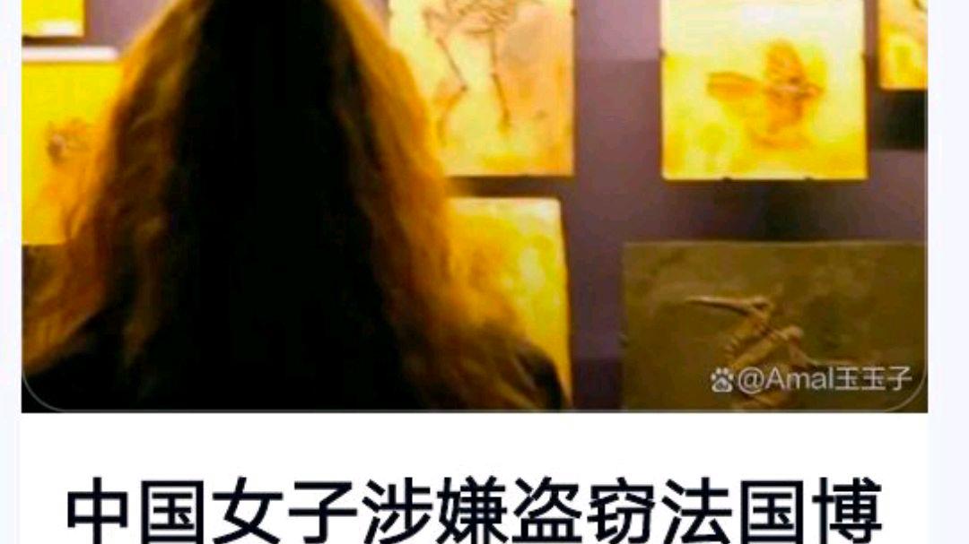 中国女子被指盗走法博物馆6公斤黄金?网友:如果她已回到上海如何