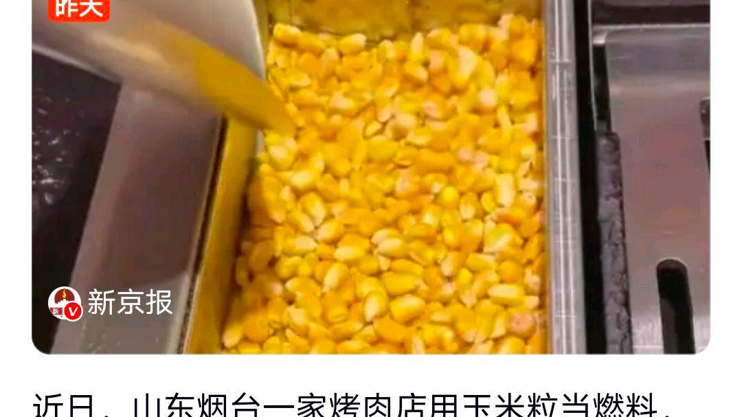 烤肉店用玉米粒当燃料玉米专家发声?网友:提醒还有这一层隐患