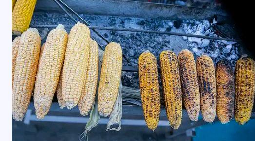 烤肉店用玉米粒当燃料玉米专家发声?网友:提醒还有这一层隐患