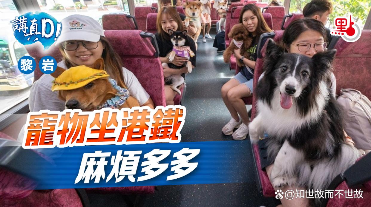 宠物能否坐上公交地铁?杭州明确说“不”?但多城市试点探索新道路!