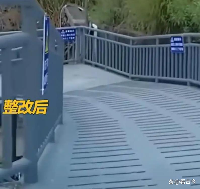 千条视频“卷”出城市治理新范式?深圳“多管局局长”火了!