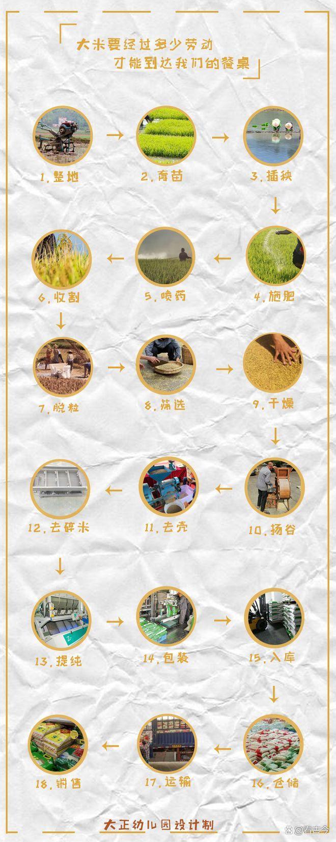 狙击手有多稳?一粒大米告诉你答案!能米上雕花才是“神枪手”