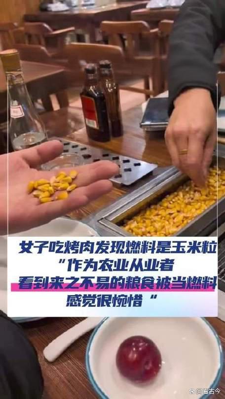 烤肉店创新用玉米粒当燃料?玉米专家发声:别拿粮食安全当儿戏!