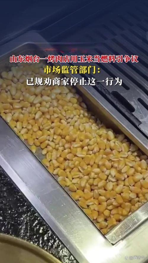 烤肉店创新用玉米粒当燃料?玉米专家发声:别拿粮食安全当儿戏!