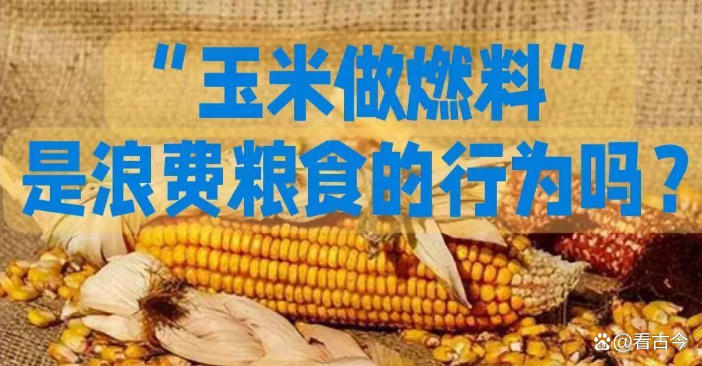 烤肉店创新用玉米粒当燃料?玉米专家发声:别拿粮食安全当儿戏!