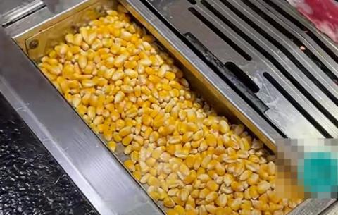 烤肉店用玉米粒当燃料 专家发声:很惋惜 我国粮食还处在紧平衡状态(图1)