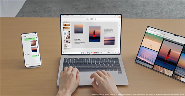 欧洲最怪博物馆:507只青蛙标本摆出人类姿势(图1)