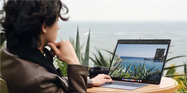 欧洲最怪博物馆:507只青蛙标本摆出人类姿势(图2)