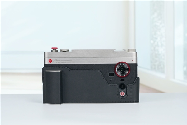 欧洲最怪博物馆:507只青蛙标本摆出人类姿势(图4)